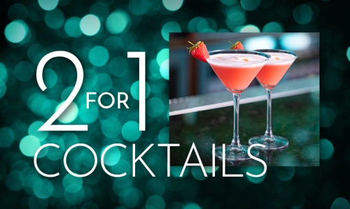 241 Cocktails